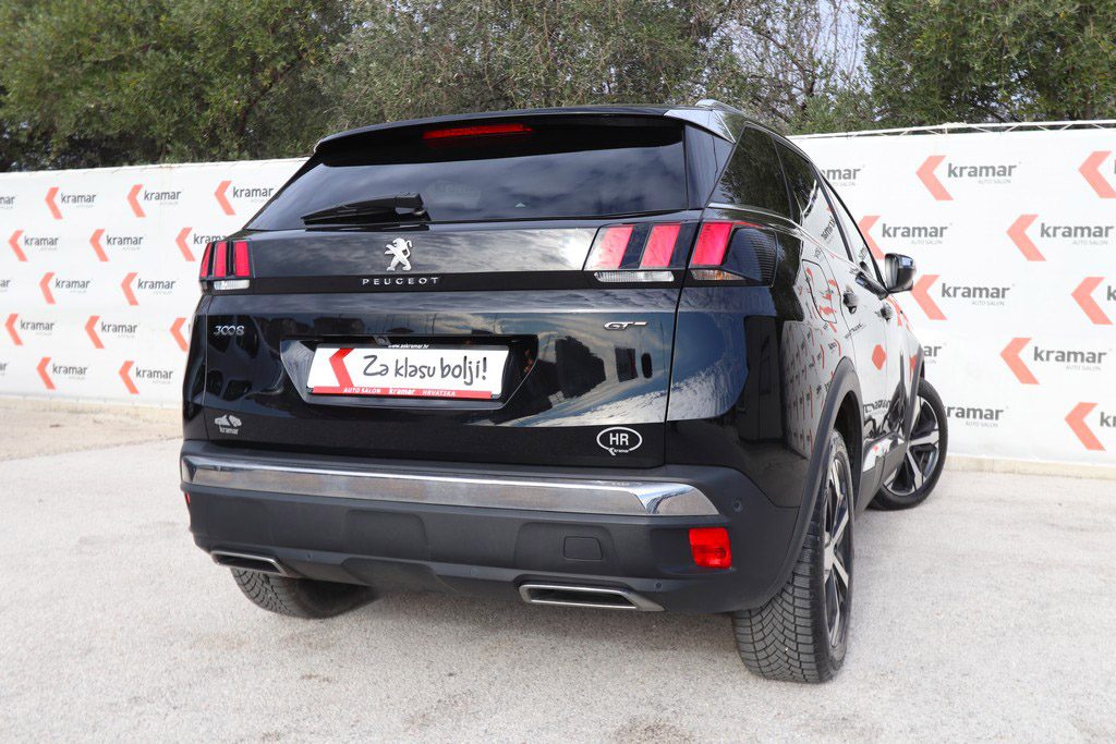 2019 Peugeot 3008 — fotografija 20
