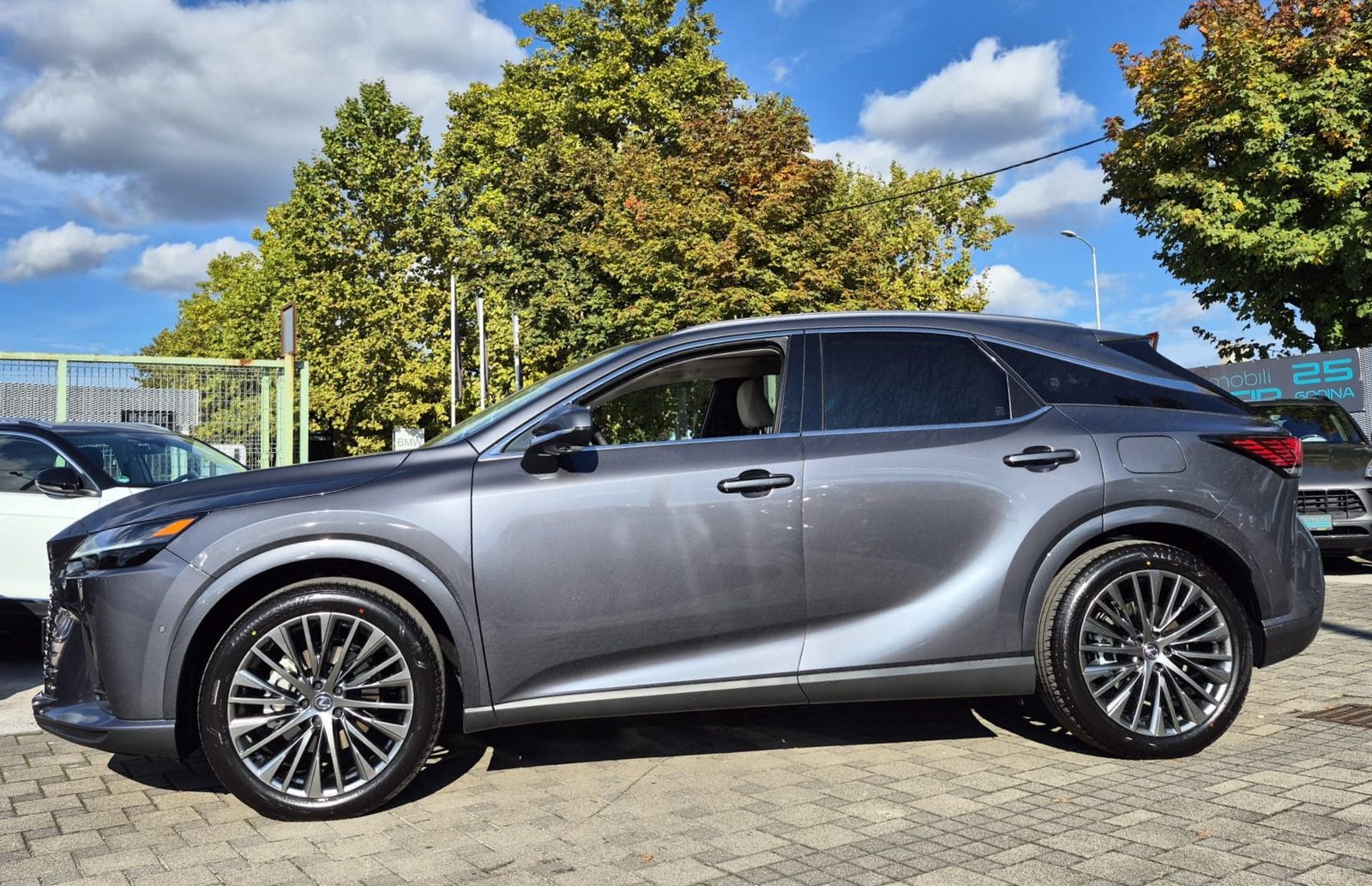2025 Lexus RX 450h — fotografija 8