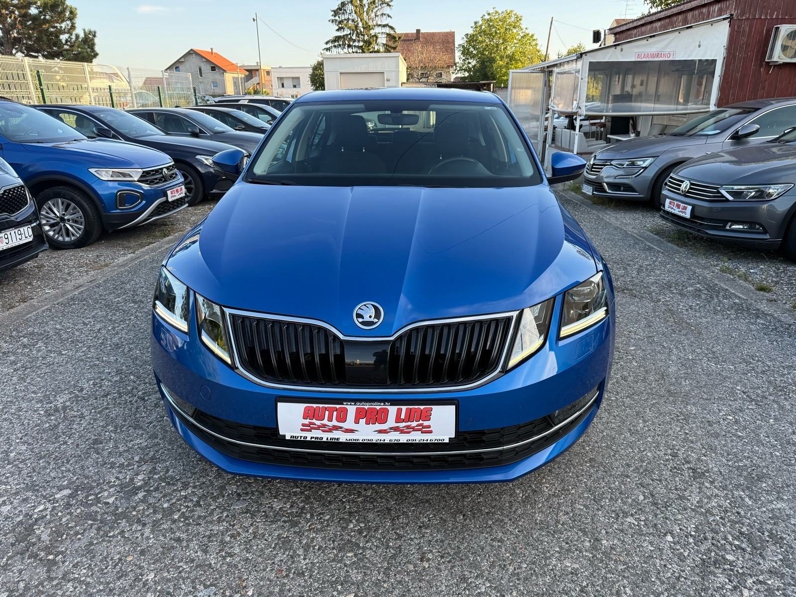 2019 Škoda Octavia — fotografija 6