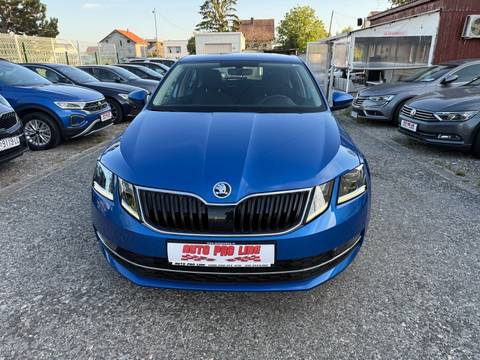 2019 Škoda Octavia — sličica 6