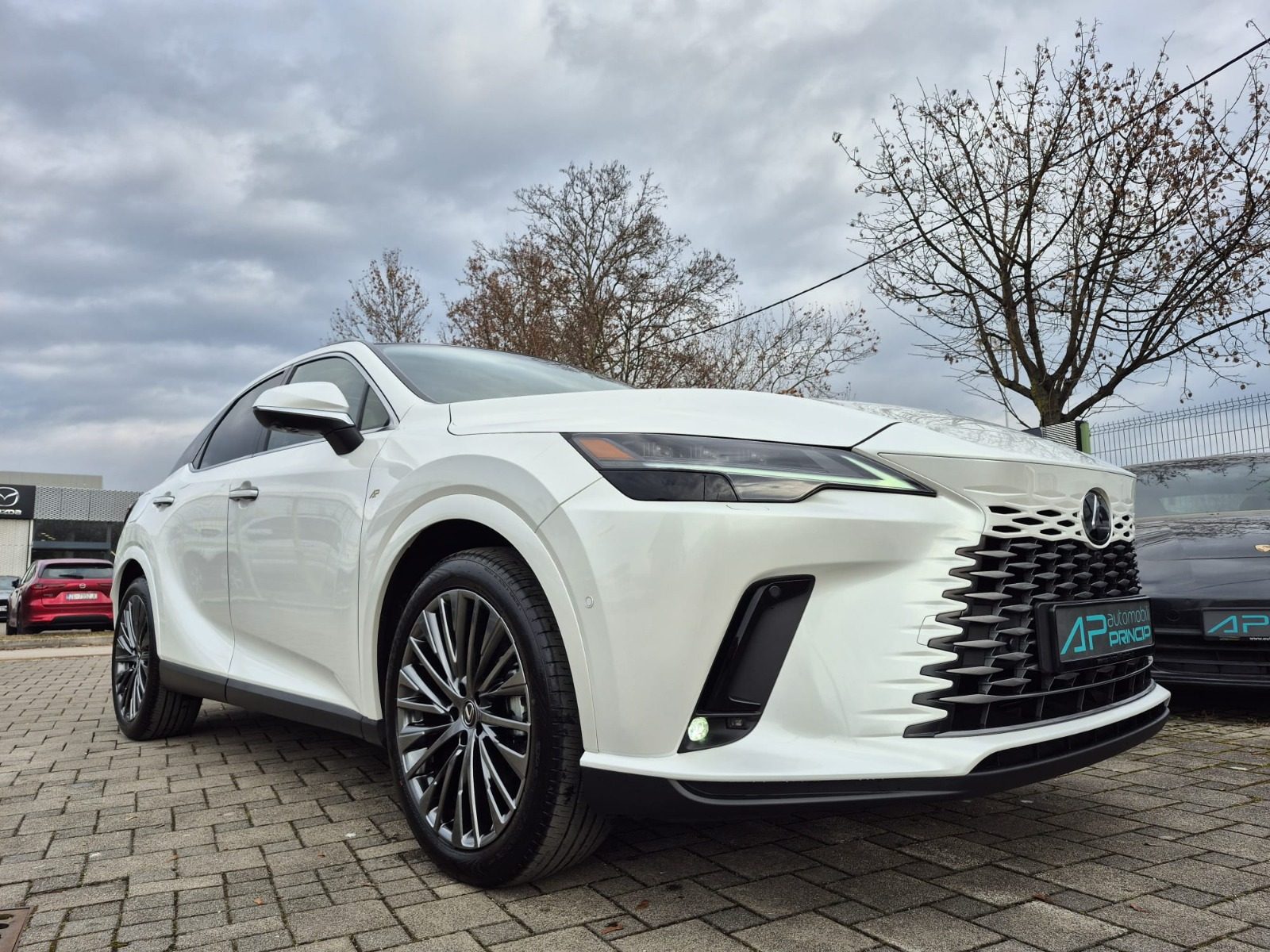 2025 Lexus RX 450h — fotografija 8