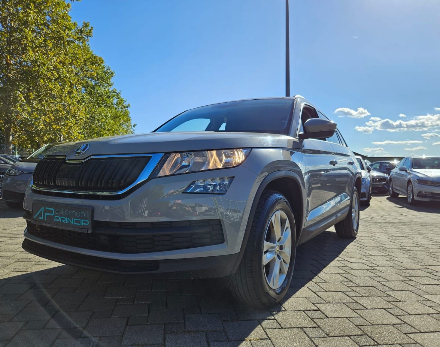 2021 Škoda Kodiaq — fotografija 25
