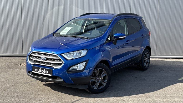 2019 Ford Ecosport — fotografija 21