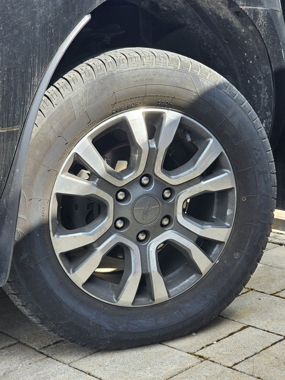 2019 Ford Ranger Wildtrak — fotografija 28