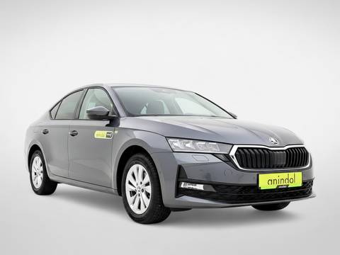 2026 Škoda Octavia