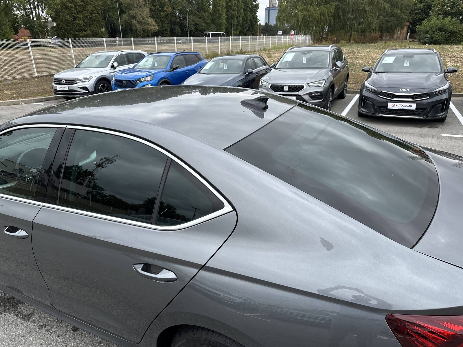 2024 Škoda Octavia — fotografija 16