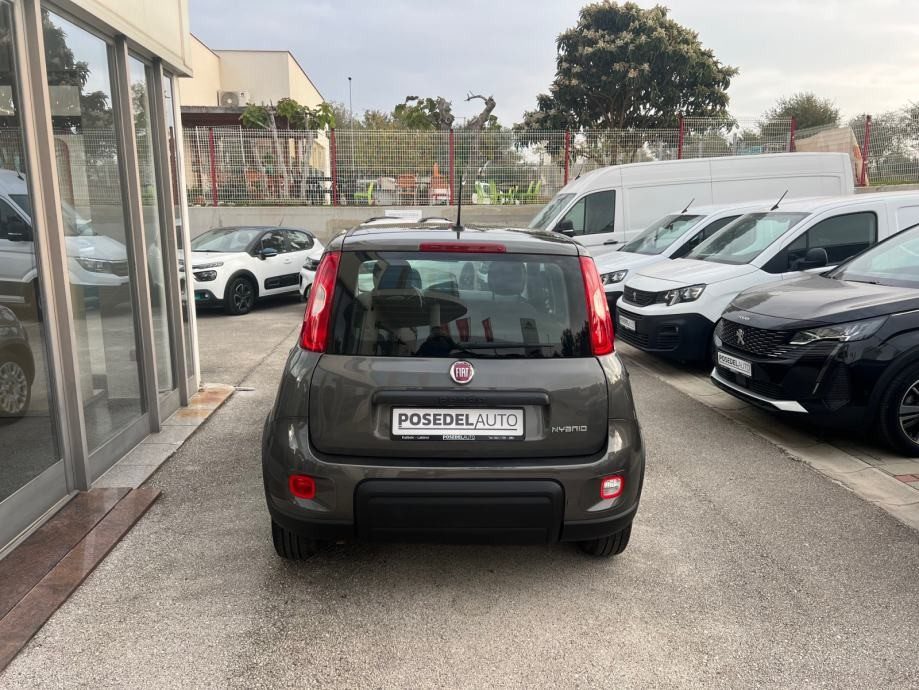 2023 Fiat Panda — fotografija 6