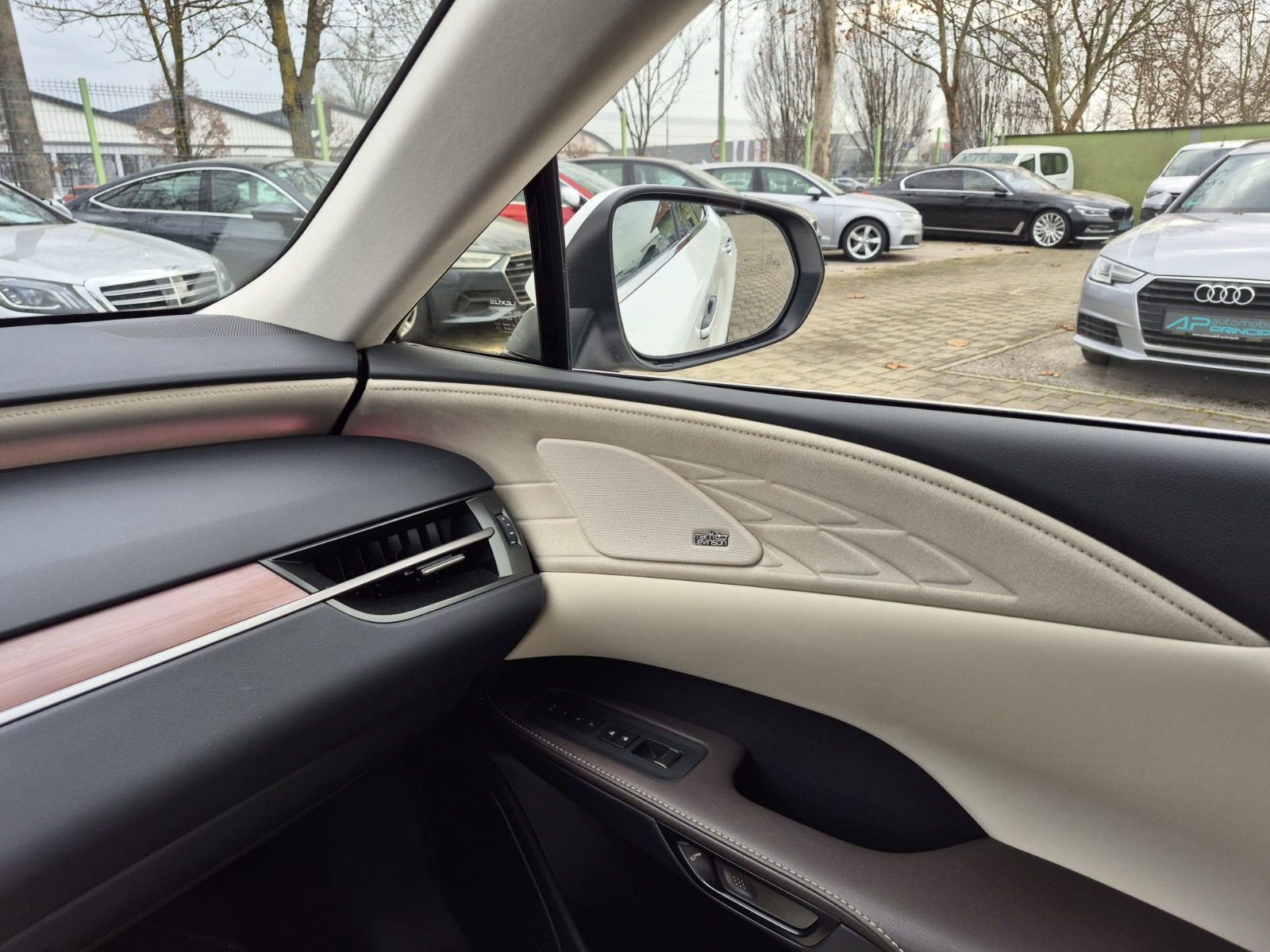 2025 Lexus RX 450h — fotografija 22