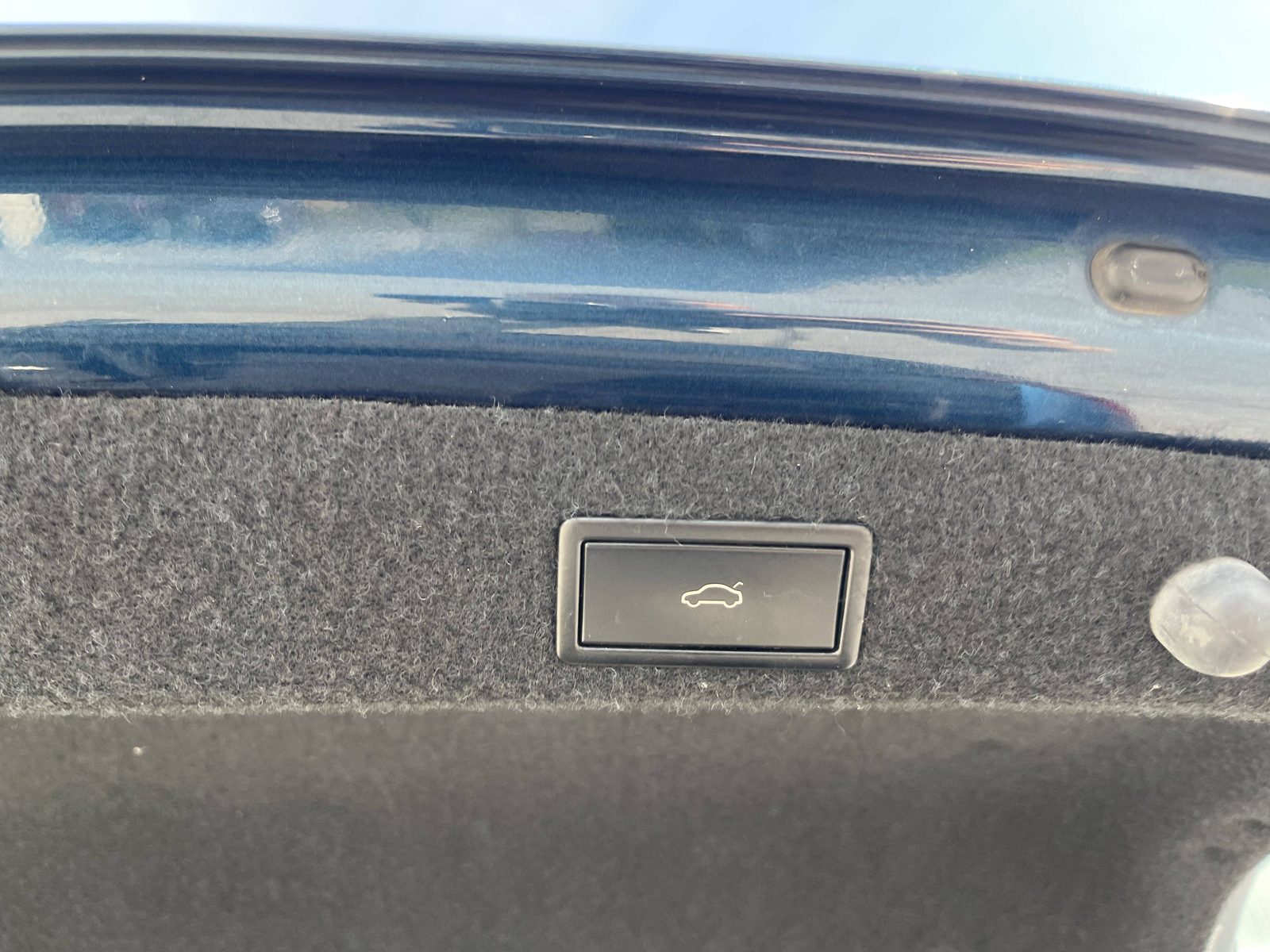 2020 Škoda Octavia — fotografija 24
