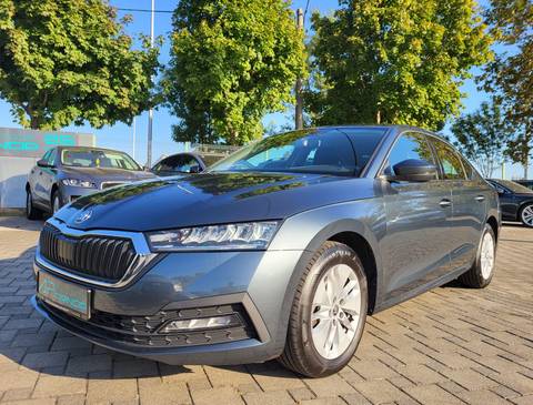 2020 Škoda Octavia — sličica 2