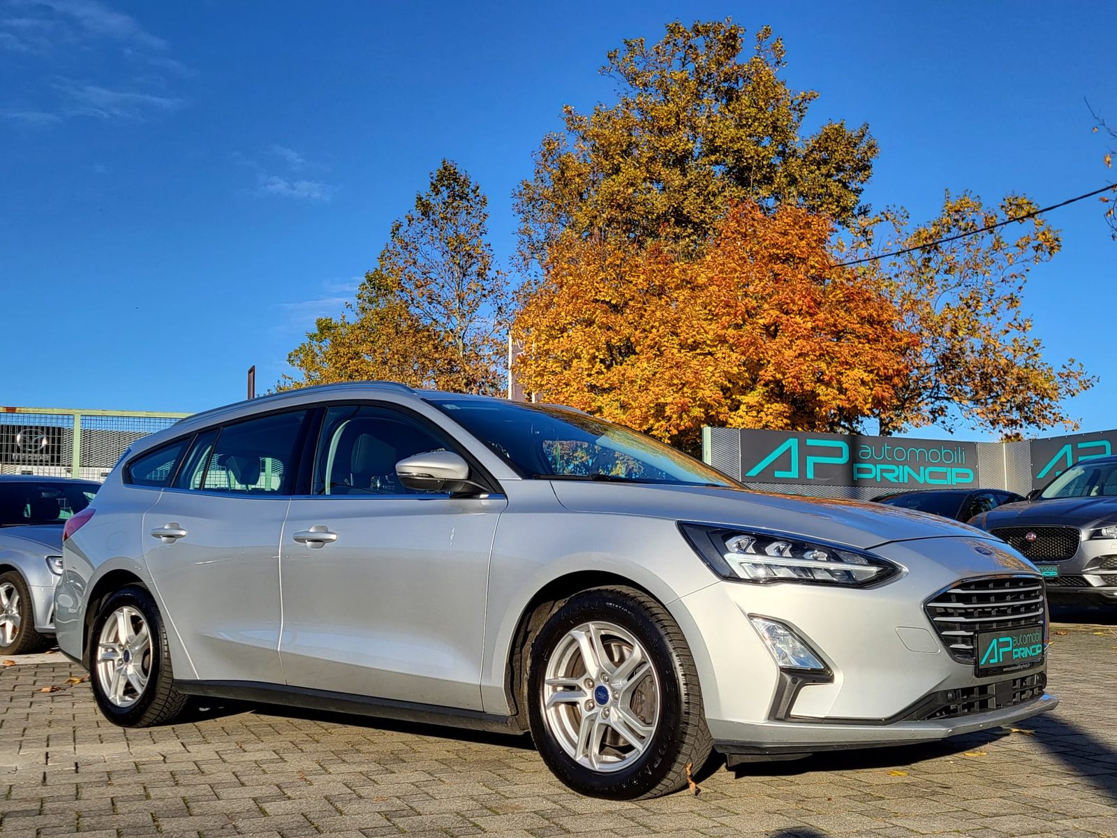 2019 Ford Focus — fotografija 7
