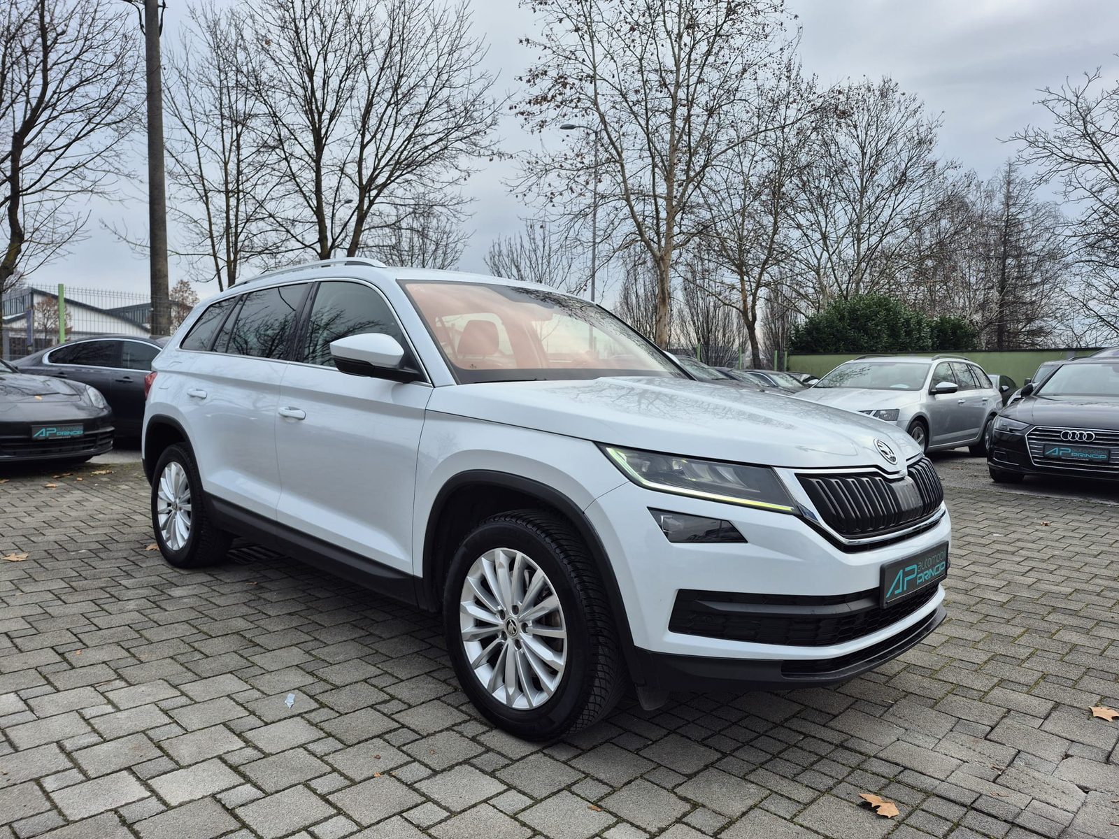 2019 Škoda Kodiaq — fotografija 7