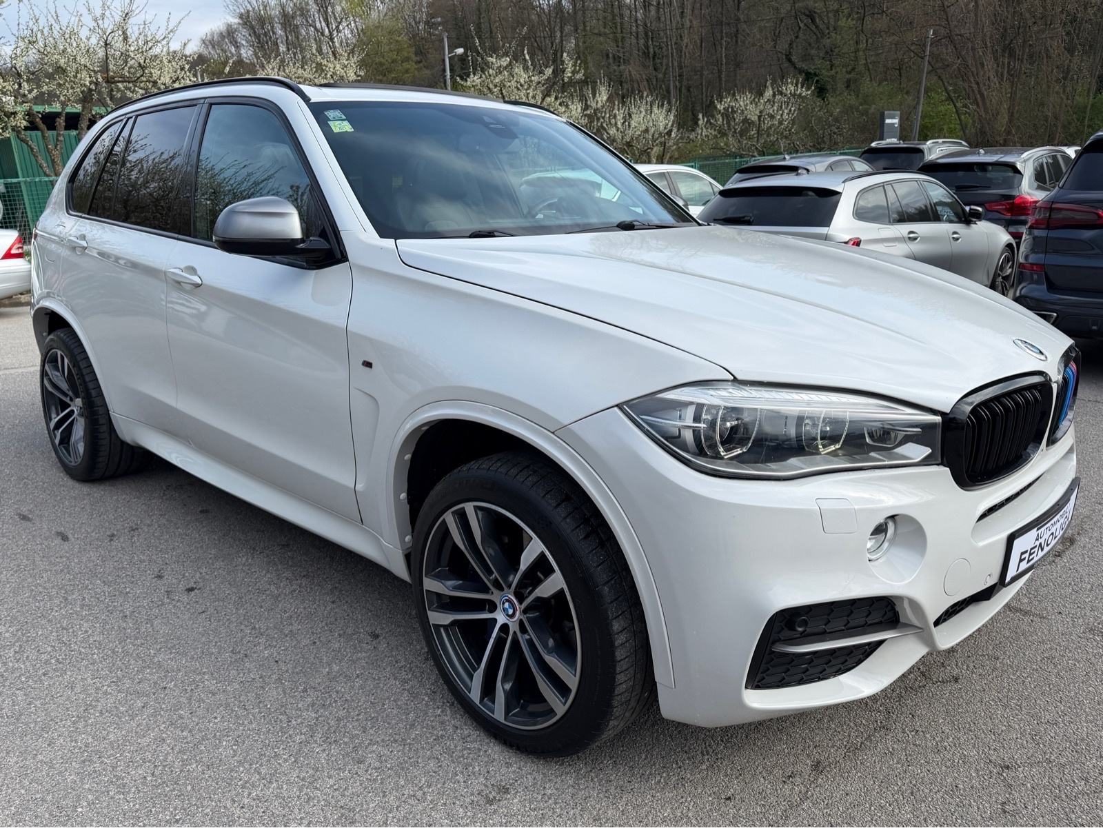 2014 BMW X5 M Sport — fotografija 3