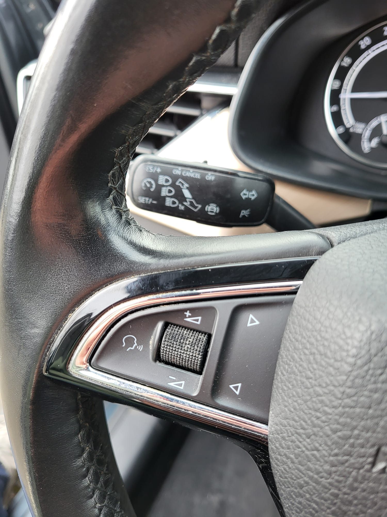 2019 Škoda Scala — fotografija 10