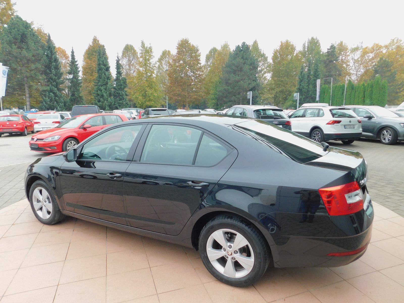 2018 Škoda Octavia — fotografija 7