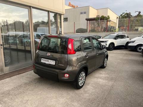 2023 Fiat Panda — sličica 4