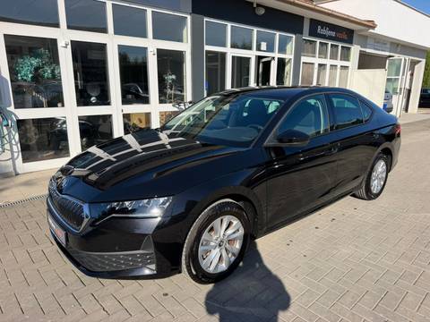 2026 Škoda Octavia