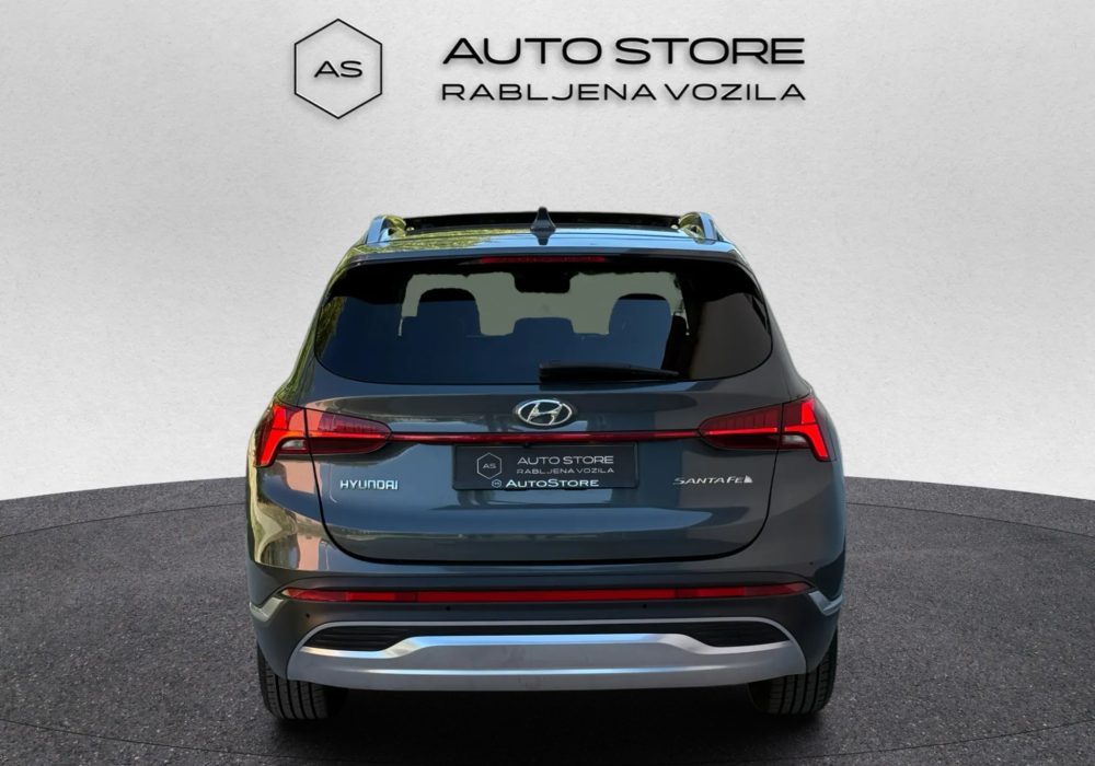 2021 Hyundai Santa — fotografija 8