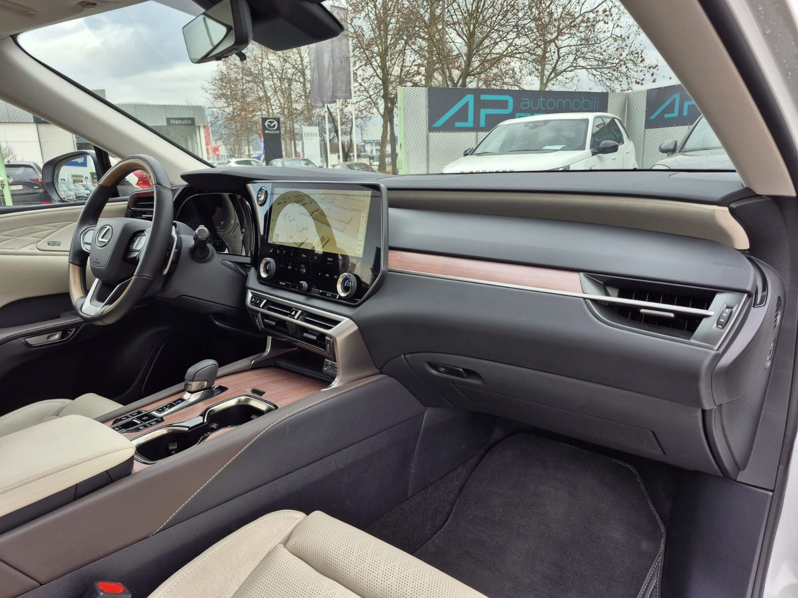 2025 Lexus RX 450h — fotografija 12