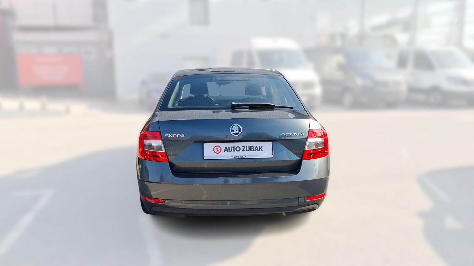 2019 Škoda Octavia — fotografija 6