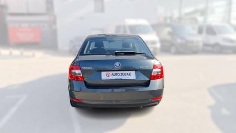 2019 Škoda Octavia — sličica 6