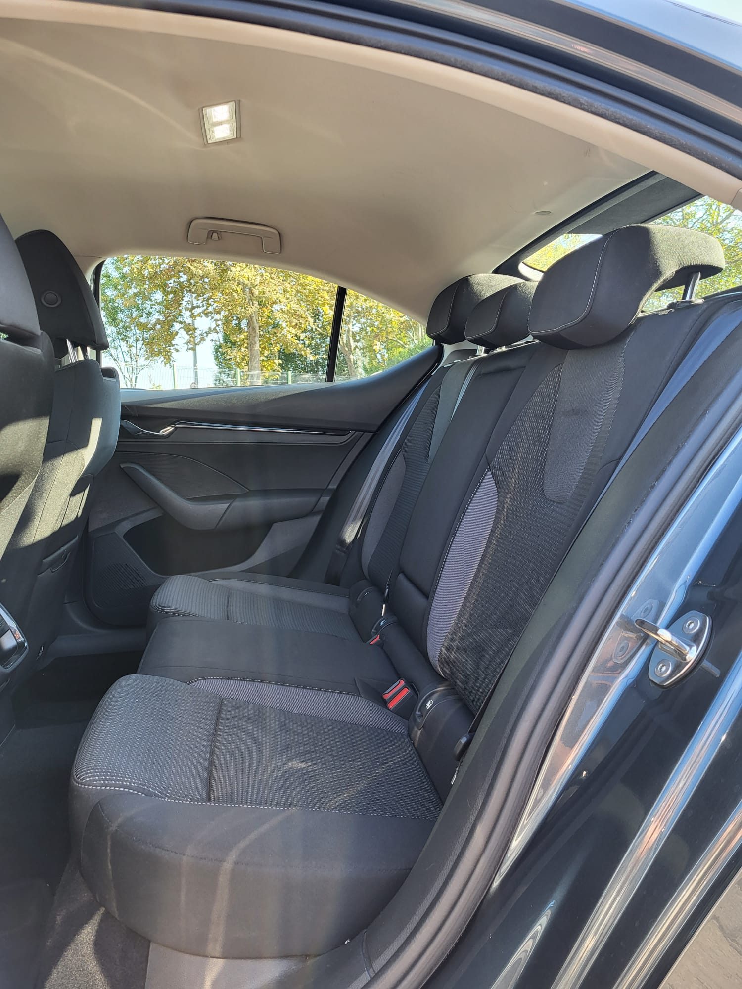2020 Škoda Octavia — fotografija 12