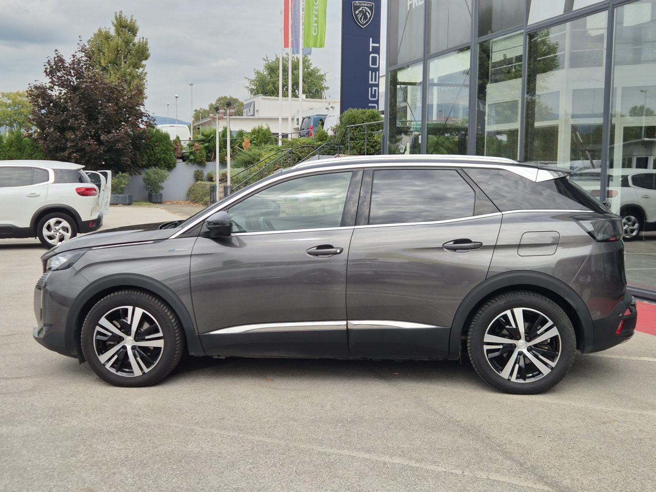 2021 Peugeot 3008 — fotografija 9