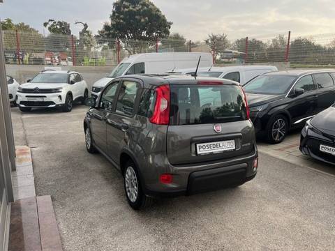 2023 Fiat Panda — sličica 5